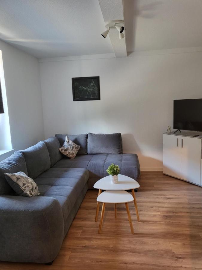 Exklusievwohnung Apartment Weissenfels